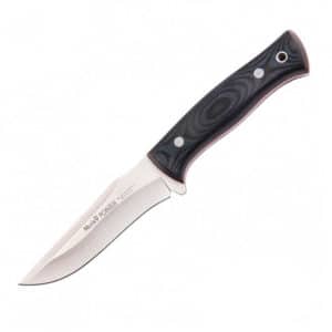 Cuchillo Muela Pointer 12-M